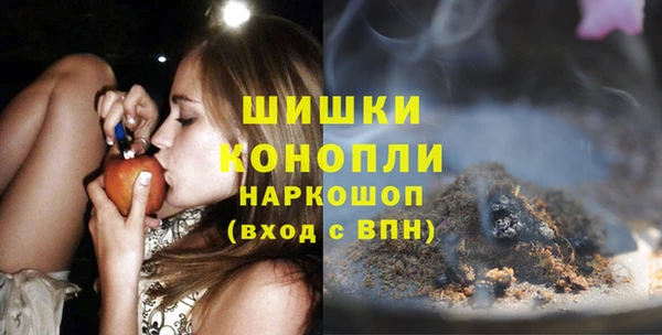 шишки Грязовец