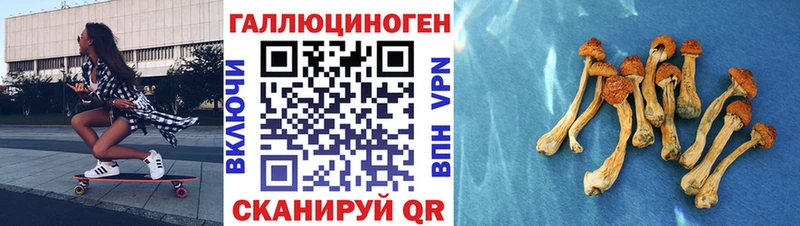 Галлюциногенные грибы мицелий  Тырныауз 
